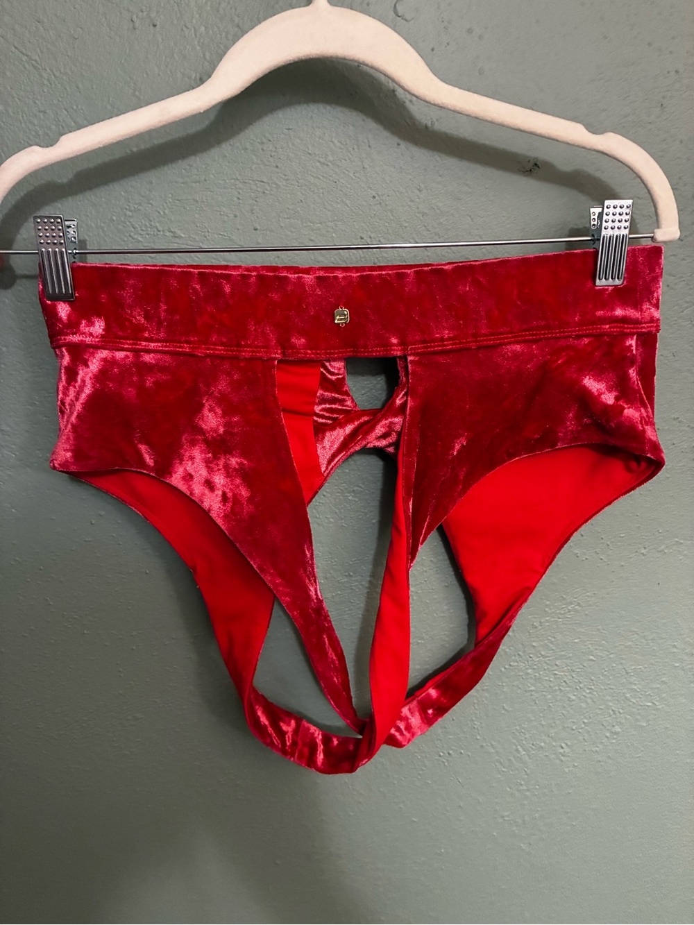 Fabletics Red Velvet Crisscross Sports Bra